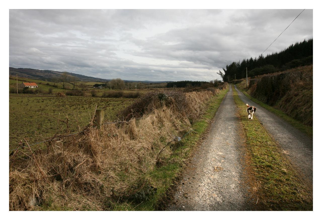 Ash Lodge Moytirra Buitenkant foto
